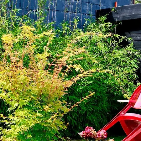 Magnifique Maison D'architecte Pour 8 Pers Avec Piscine Privee