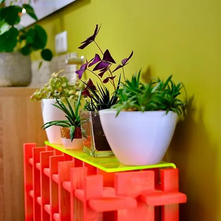 Apartment Magnifique Maison D'architecte Pour 8 Pers Avec Piscine Privee Roncherolles